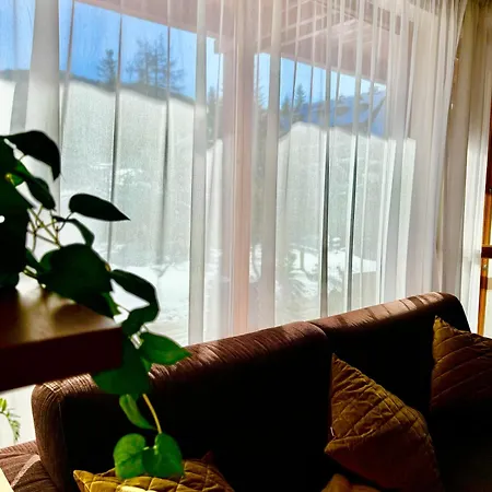 公寓 Apartament Pod Reglami Z Widokiem Na Giewont Oraz Ogrodkiem 扎科帕内