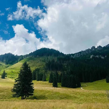 Apartament Pod Reglami Z Widokiem Na Giewont Oraz Ogrodkiem Lägenhet